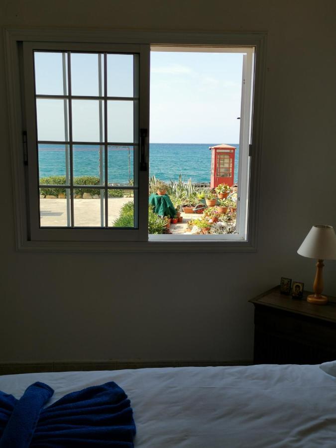 Anastasia Apartment Agia Marina  エクステリア 写真