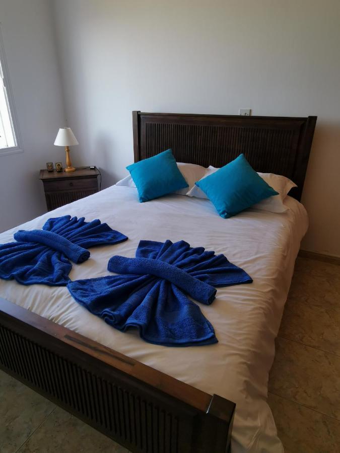 Anastasia Apartment Agia Marina  エクステリア 写真