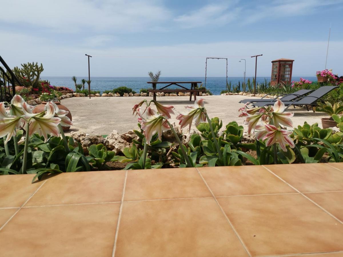 Anastasia Apartment Agia Marina  エクステリア 写真
